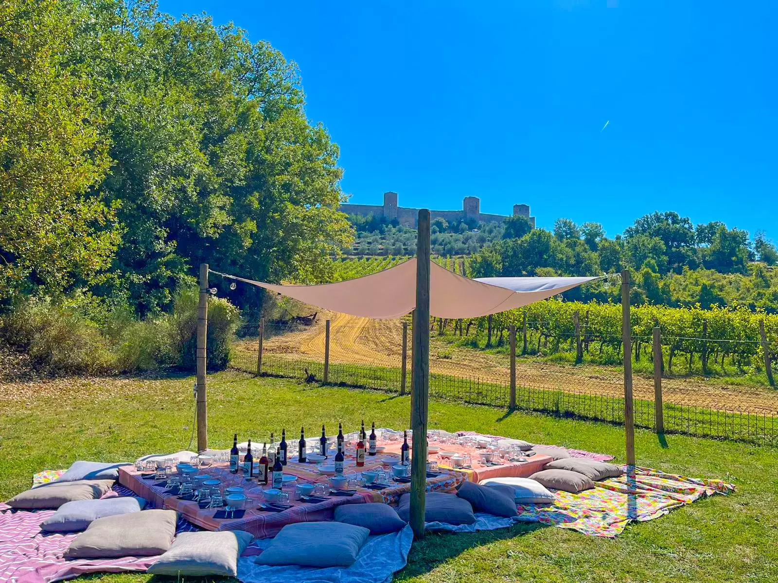Ristorante-Cantinale-a-Monteriggioni-Wine-Tour-Picnic-in-vigna-1