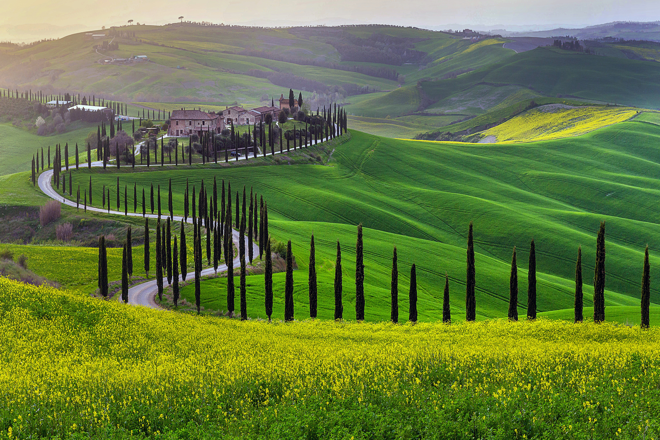 Green hills of Tuscany in early spring
