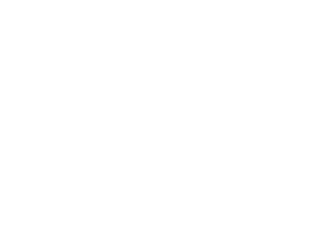 international white logo