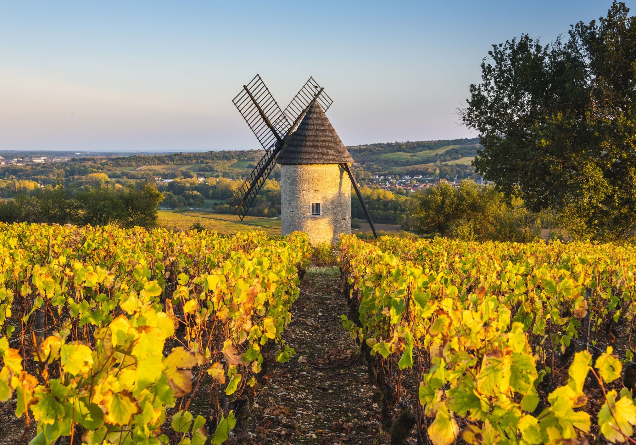 windmill-in-the-vineyards-france-royalty-free-image-1572436944